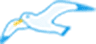 かもめ